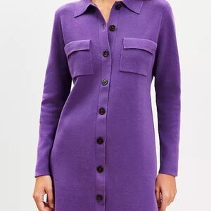 NWOT Loft purple shirt sweater dress